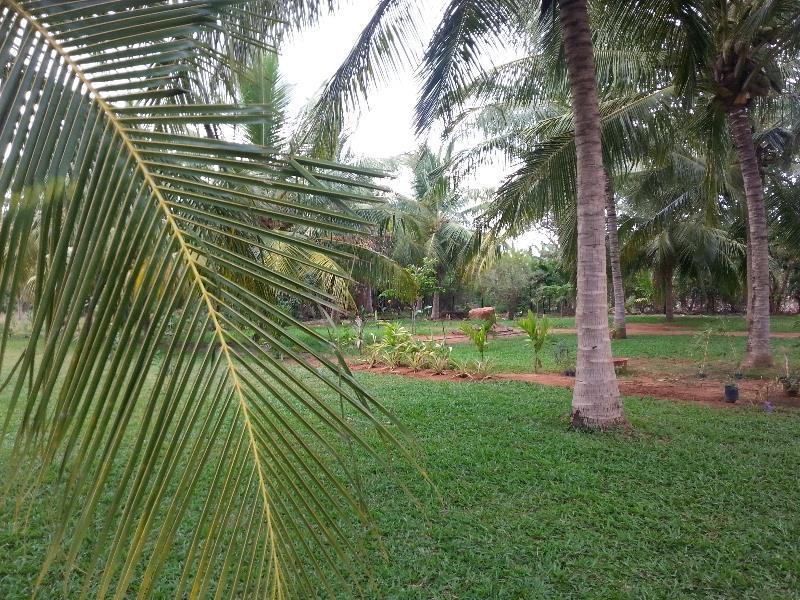Serenity Lake Resort Yala 티사마하라마 외부 사진