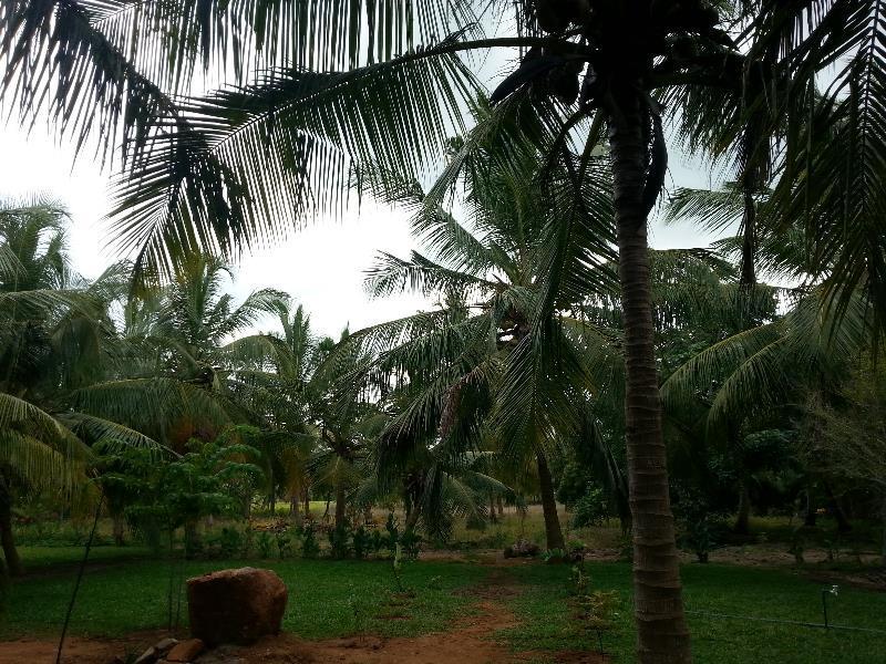 Serenity Lake Resort Yala 티사마하라마 외부 사진