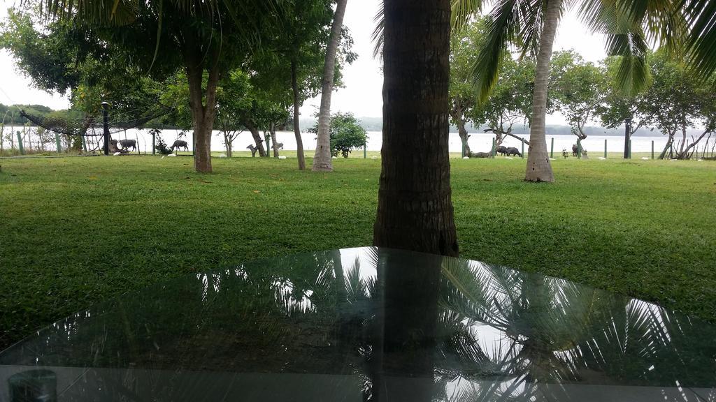 Serenity Lake Resort Yala 티사마하라마 외부 사진