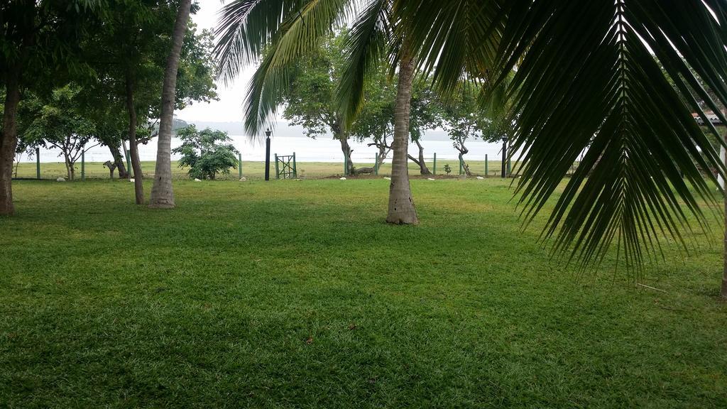 Serenity Lake Resort Yala 티사마하라마 외부 사진