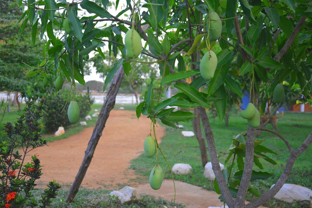 Serenity Lake Resort Yala 티사마하라마 외부 사진