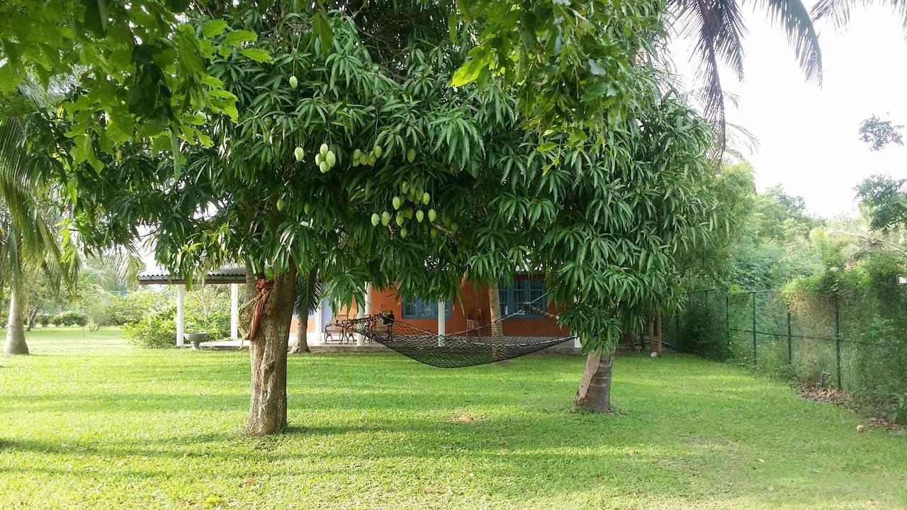 Serenity Lake Resort Yala 티사마하라마 외부 사진